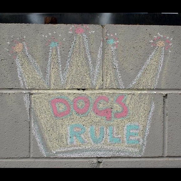 VINTAGE OOAK Tee Girls Suck! - Picture 4 of 5